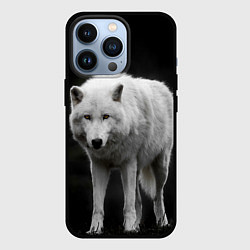 Чехол для iPhone 13 Pro Белый волк на темном фоне, цвет: 3D-черный