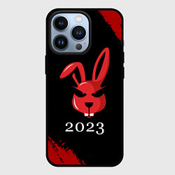 Чехол для iPhone 13 Pro Кролик 2023 суровый, цвет: 3D-черный