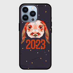 Чехол для iPhone 13 Pro Абстрактный кролик 2023, цвет: 3D-черный