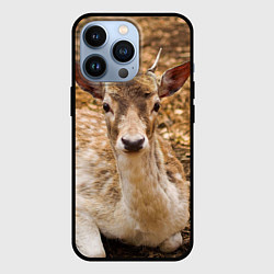 Чехол iPhone 13 Pro Хороший олень