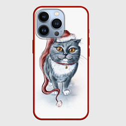 Чехол для iPhone 13 Pro Кот гномыч, цвет: 3D-красный