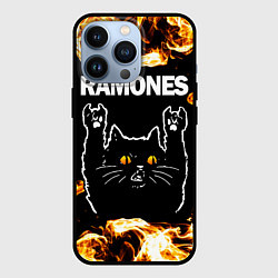 Чехол для iPhone 13 Pro Ramones рок кот и огонь, цвет: 3D-черный