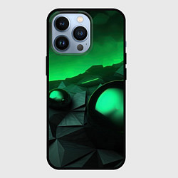 Чехол для iPhone 13 Pro Асимметрия растительного узора, цвет: 3D-черный