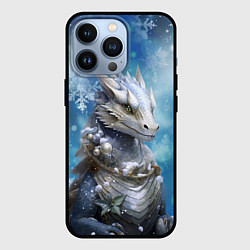 Чехол для iPhone 13 Pro Зимний дракон, цвет: 3D-черный