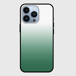 Чехол для iPhone 13 Pro Туманный градиент бело-зелёный, цвет: 3D-черный