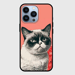 Чехол для iPhone 13 Pro Недовольный кот в день Святого Валентина, цвет: 3D-черный