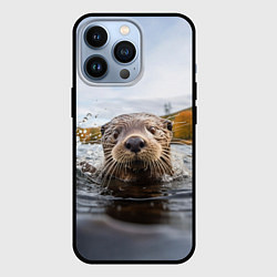 Чехол для iPhone 13 Pro Выдра смотрит из воды, цвет: 3D-черный