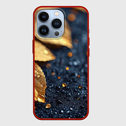 Чехол для iPhone 13 Pro Золотые листья на темном фоне, цвет: 3D-красный