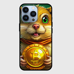 Чехол для iPhone 13 Pro Хомяк держит биток, цвет: 3D-черный