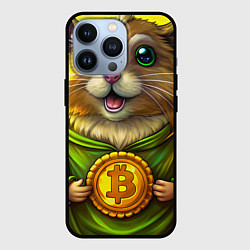 Чехол для iPhone 13 Pro Пушистик и криптовалютные сбережения, цвет: 3D-черный