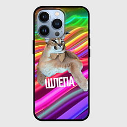 Чехол для iPhone 13 Pro Мем кот Шлепа, цвет: 3D-черный