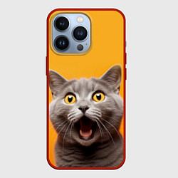 Чехол для iPhone 13 Pro Удивленный кот, цвет: 3D-красный