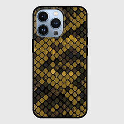 Чехол для iPhone 13 Pro Змеиный камуфляж - текстура чешуи, цвет: 3D-черный