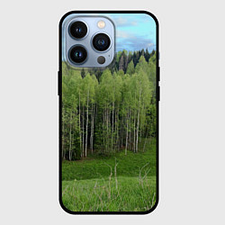 Чехол для iPhone 13 Pro Природа России молодые березки, цвет: 3D-черный