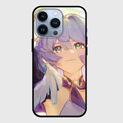 Чехол для iPhone 13 Pro Honkai Star Rail Robin, цвет: 3D-черный