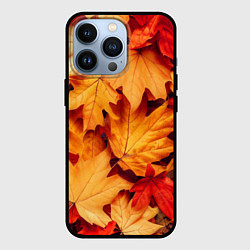 Чехол для iPhone 13 Pro Осенние кленовые листья, цвет: 3D-черный