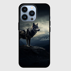 Чехол для iPhone 13 Pro Волк на горе, цвет: 3D-черный