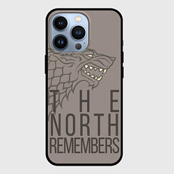 Чехол для iPhone 13 Pro The North Remembers game of thrones, цвет: 3D-черный