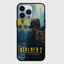 Чехол для iPhone 13 Pro Stalker 2 зараженная зона, цвет: 3D-черный