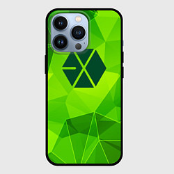 Чехол для iPhone 13 Pro Exo green poly, цвет: 3D-черный