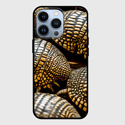 Чехол для iPhone 13 Pro Панцири броненосцев, цвет: 3D-черный