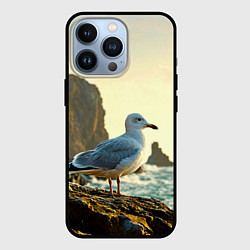 Чехол для iPhone 13 Pro Морская чайка, цвет: 3D-черный