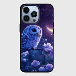 Чехол для iPhone 13 Pro Сова и ночное небо, цвет: 3D-черный