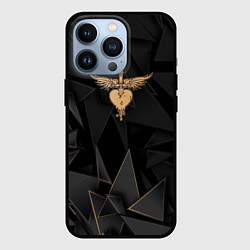 Чехол для iPhone 13 Pro Bon Jovi golden poly, цвет: 3D-черный