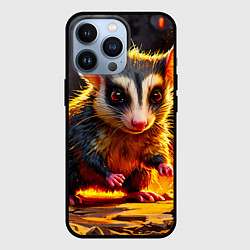 Чехол для iPhone 13 Pro Опоссум в огне, цвет: 3D-черный