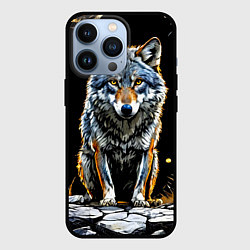 Чехол для iPhone 13 Pro Волк на черном, цвет: 3D-черный