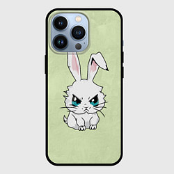 Чехол для iPhone 13 Pro Злой кролик 2025, цвет: 3D-черный