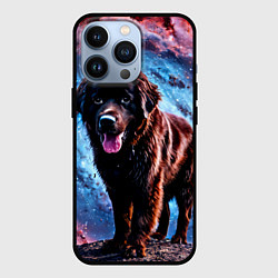 Чехол для iPhone 13 Pro Ньюфаундленд в космосе, цвет: 3D-черный