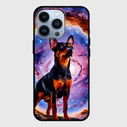 Чехол для iPhone 13 Pro Пинчер в космосе, цвет: 3D-черный