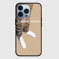 Чехол iPhone 13 Pro У меня лапки кот Марс