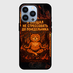 Чехол iPhone 13 Pro Я обещал не стрессовать до понедельника - кот поср