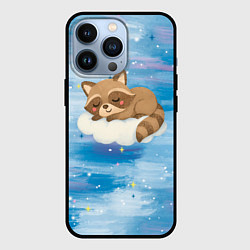 Чехол для iPhone 13 Pro Милый енот спит на облаке, цвет: 3D-черный