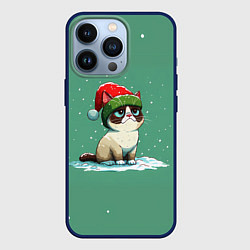 Чехол iPhone 13 Pro Новогодний мем котик