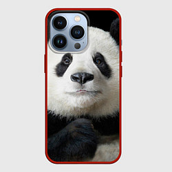 Чехол для iPhone 13 Pro Взгляд пандочки, цвет: 3D-красный