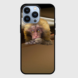 Чехол для iPhone 13 Pro Мартышка, цвет: 3D-черный