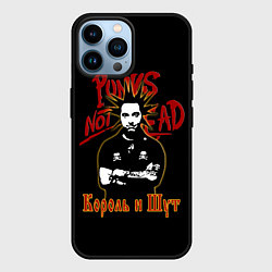 Чехол для iPhone 14 Pro Max Punks Not Dead КиШ, цвет: 3D-черный