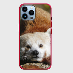 Чехол для iPhone 14 Pro Max Красная панда ждёт, цвет: 3D-малиновый