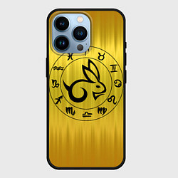 Чехол для iPhone 14 Pro Черный кролик и знаки зодиака, цвет: 3D-черный