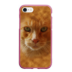 Чехол iPhone 7/8 матовый Рыжий котик