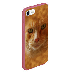 Чехол iPhone 7/8 матовый Рыжий котик, цвет: 3D-малиновый — фото 2