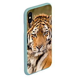 Чехол iPhone XS Max матовый Милый тигр, цвет: 3D-мятный — фото 2