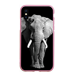 Чехол iPhone XS Max матовый Старый слон