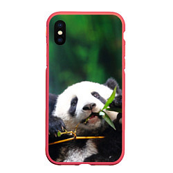 Чехол iPhone XS Max матовый Панда на ветке, цвет: 3D-красный