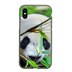 Чехол iPhone XS Max матовый Панда в лесу, цвет: 3D-темно-зеленый