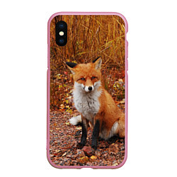 Чехол iPhone XS Max матовый Осенняя лиса, цвет: 3D-розовый