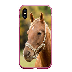 Чехол iPhone XS Max матовый Взгляд лошади, цвет: 3D-малиновый